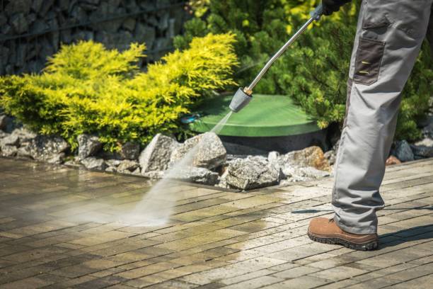 Best Soft Washing for Delicate Surfaces in Somerset, KY